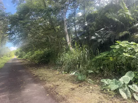 17-4014 Kapalai Rd, Mountain View, HI 96771