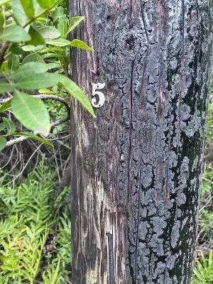 Holowai St, Naalehu, HI 96772