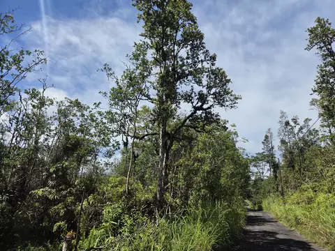 Road 3, Kurtistown, HI 96760