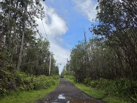 Road 5, Kurtistown, HI 96760