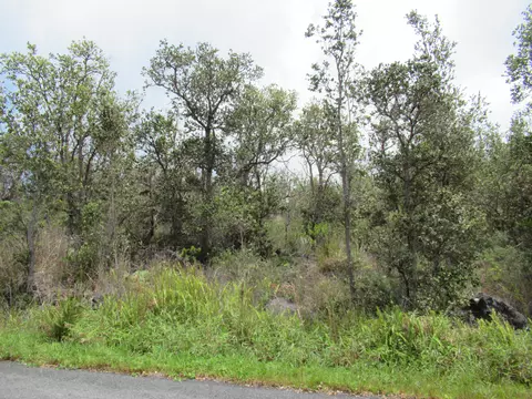 Tiki Ln, Ocean View, HI 96737