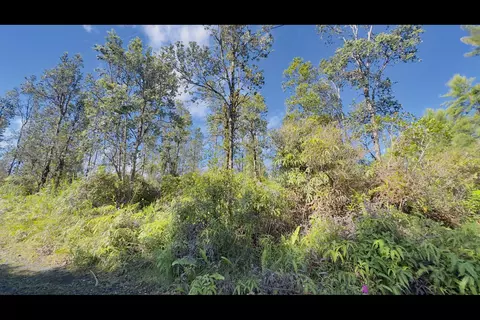Road 2, Kurtistown, HI 96760