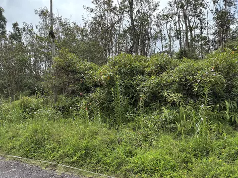 16-359 Melekule St, Keaau, HI 96749