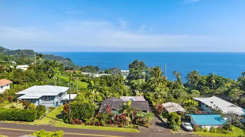 36-132 Manowaiopae Homestead Rd, Laupahoehoe, HI 96764