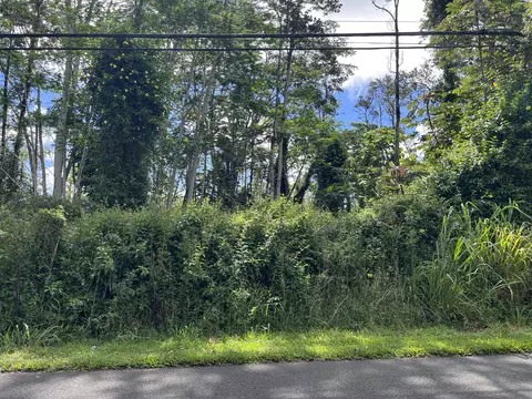 Kehau Rd, Pahoa, HI 96778