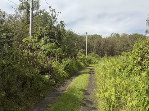 Forest Pl, Mountain View, HI 96771 photo 3