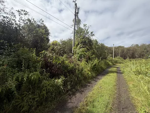 Forest Pl, Mountain View, HI 96771 photo 2