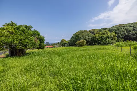Old Mamalahoa Highway, Hakalau, HI 96710