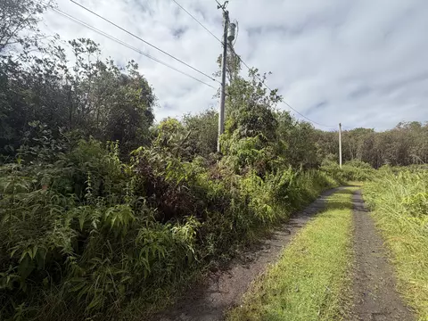 Forest Pl, Mountain View, HI 96771 photo 2