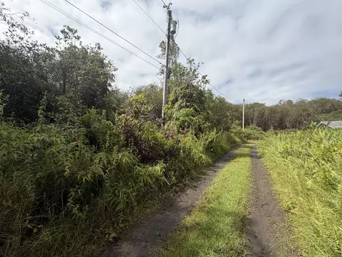 Forest Pl, Mountain View, HI 96771 photo 1