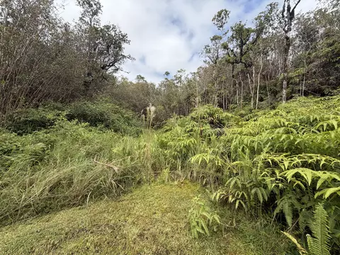 Fern Ct, Mountain View, HI 96771 photo 4