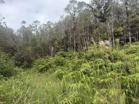Fern Ct, Mountain View, HI 96771 photo 3