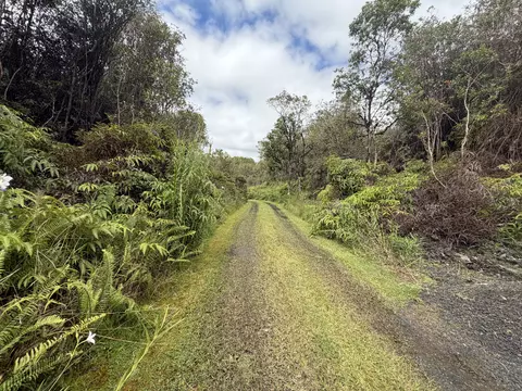Fern Ct, Mountain View, HI 96771 photo 7