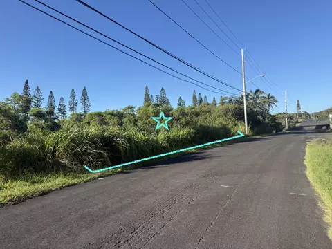 Kalakau St, Naalehu, HI 96772