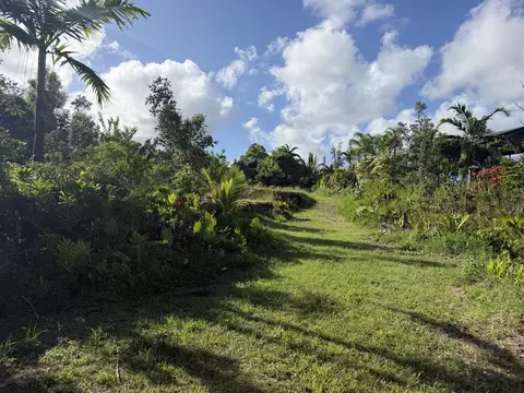 12-7136 Kalaunu St, Pahoa, HI 96778