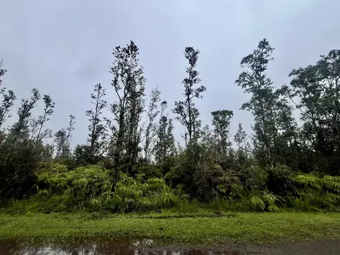 Road 4, Mountain View, HI 96771 photo 3