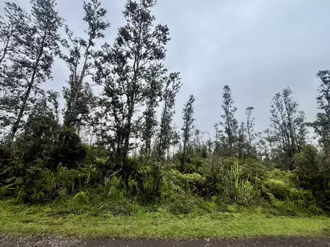 Road 4, Mountain View, HI 96771 photo 7