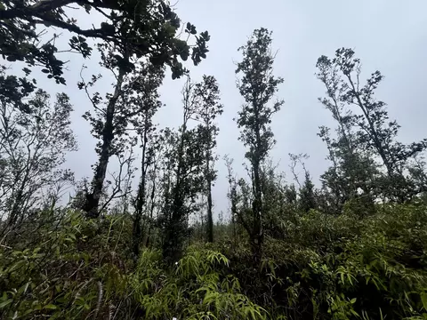 Road 4, Mountain View, HI 96771 photo 5