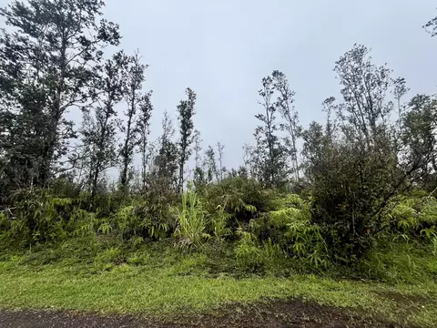 Road 4, Mountain View, HI 96771 photo 2
