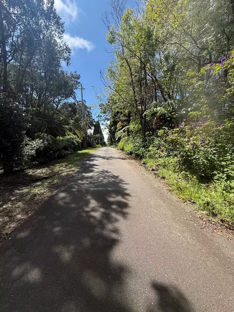Haunani Rd, Volcano, HI 96785 photo 2
