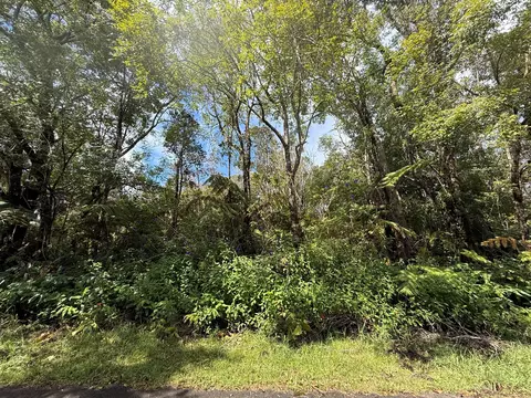 Haunani Rd, Volcano, HI 96785 photo 4