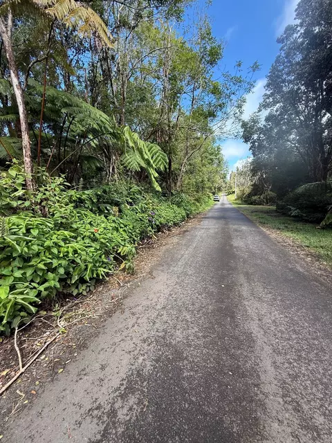 Haunani Rd, Volcano, HI 96785 photo 3