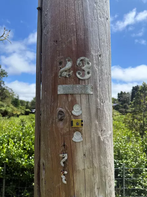 Haunani Rd, Volcano, HI 96785 photo 5