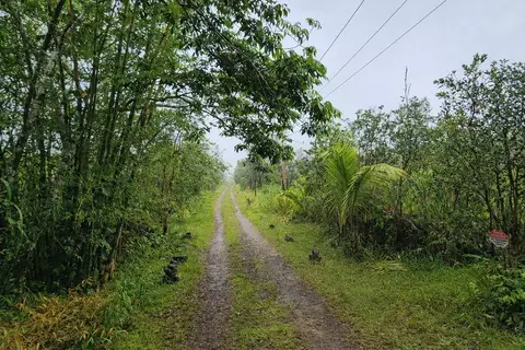 Road 2, Mountain View, HI 96771 photo 6