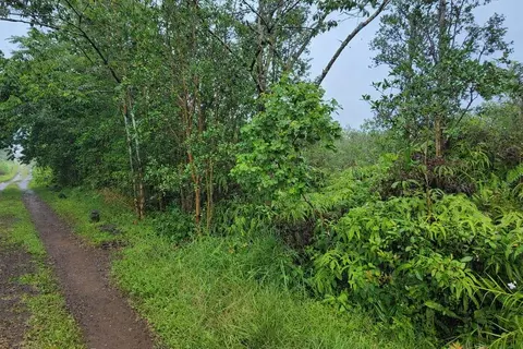 Road 2, Mountain View, HI 96771 photo 5