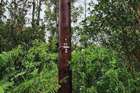 Road 2, Mountain View, HI 96771 photo 3