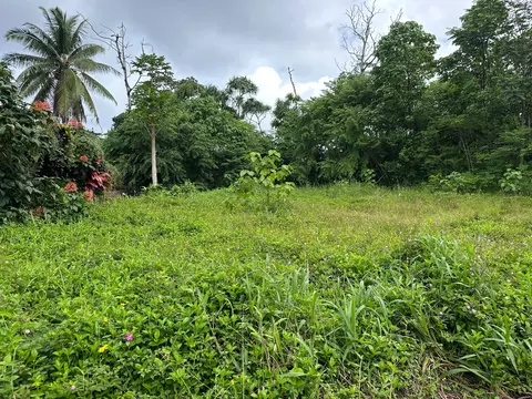 S Oopu St, Pahoa, HI 96778