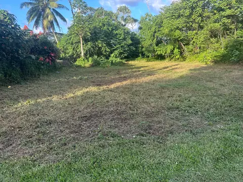 S Oopu St, Pahoa, HI 96778