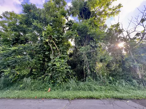 Puhala Dr, Pahoa, HI 96778