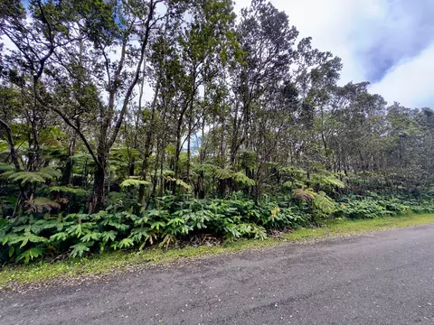 10 Th St, Volcano, HI 96785 photo 3
