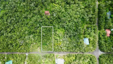 10 Th St, Volcano, HI 96785 photo 7