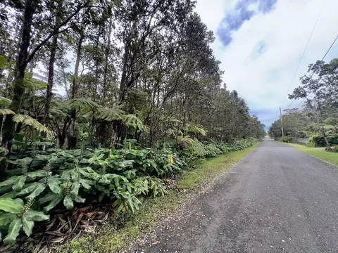 10 Th St, Volcano, HI 96785 photo 4