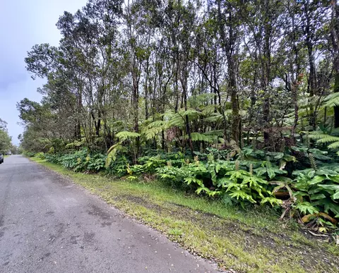 10 Th St, Volcano, HI 96785 photo 6
