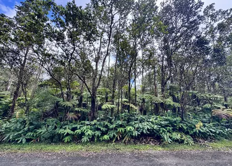 10 Th St, Volcano, HI 96785 photo 2