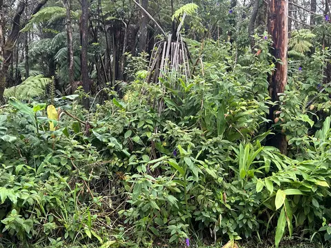 3 Rd St, Volcano, HI 96785 photo 4