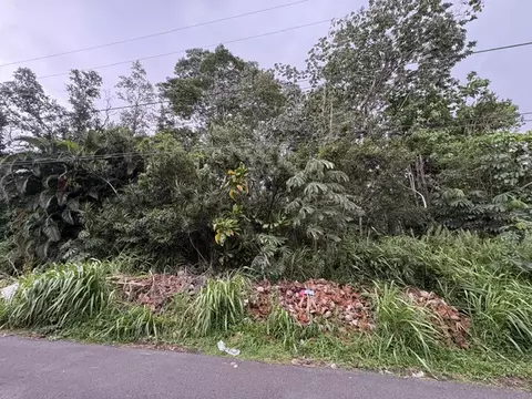 Iao St, Pahoa, HI 96778