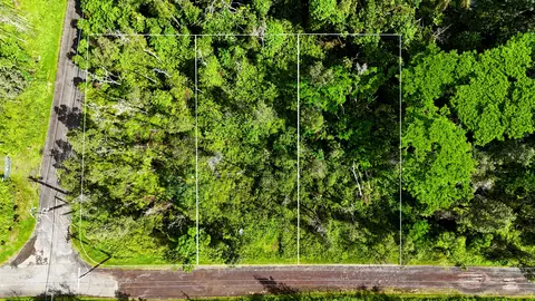 Forest Rd, Pahoa, HI 96778