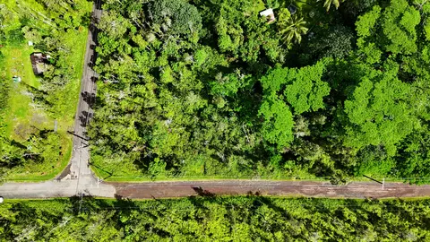 Forest Rd, Pahoa, HI 96778