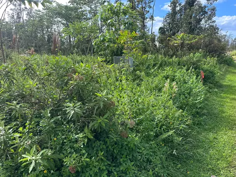 16-2116 Coral Dr, Pahoa, HI 96778