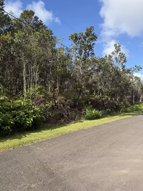 Mokuna St, Volcano, HI 96785 photo 6
