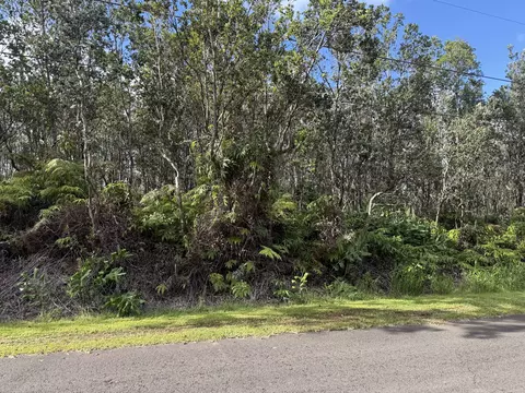 Mokuna St, Volcano, HI 96785 photo 5