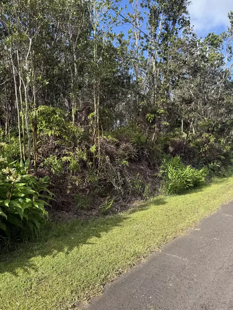 Mokuna St, Volcano, HI 96785 photo 7