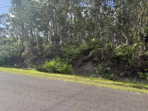 Mokuna St, Volcano, HI 96785 photo 2