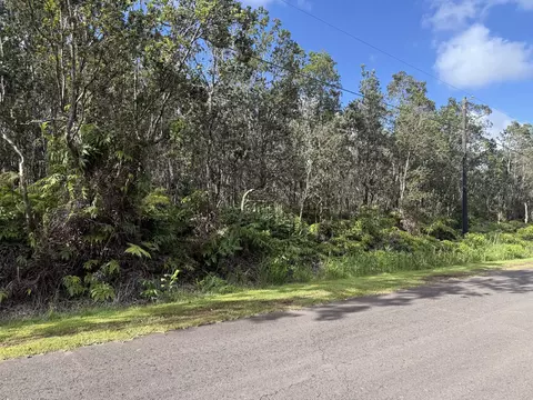 Mokuna St, Volcano, HI 96785 photo 4