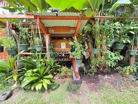 12-306 Pohakupele Loop, Pahoa, HI 96778 photo 2