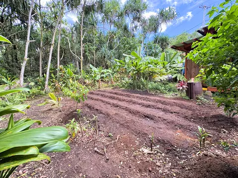 12-306 Pohakupele Loop, Pahoa, HI 96778 photo 17